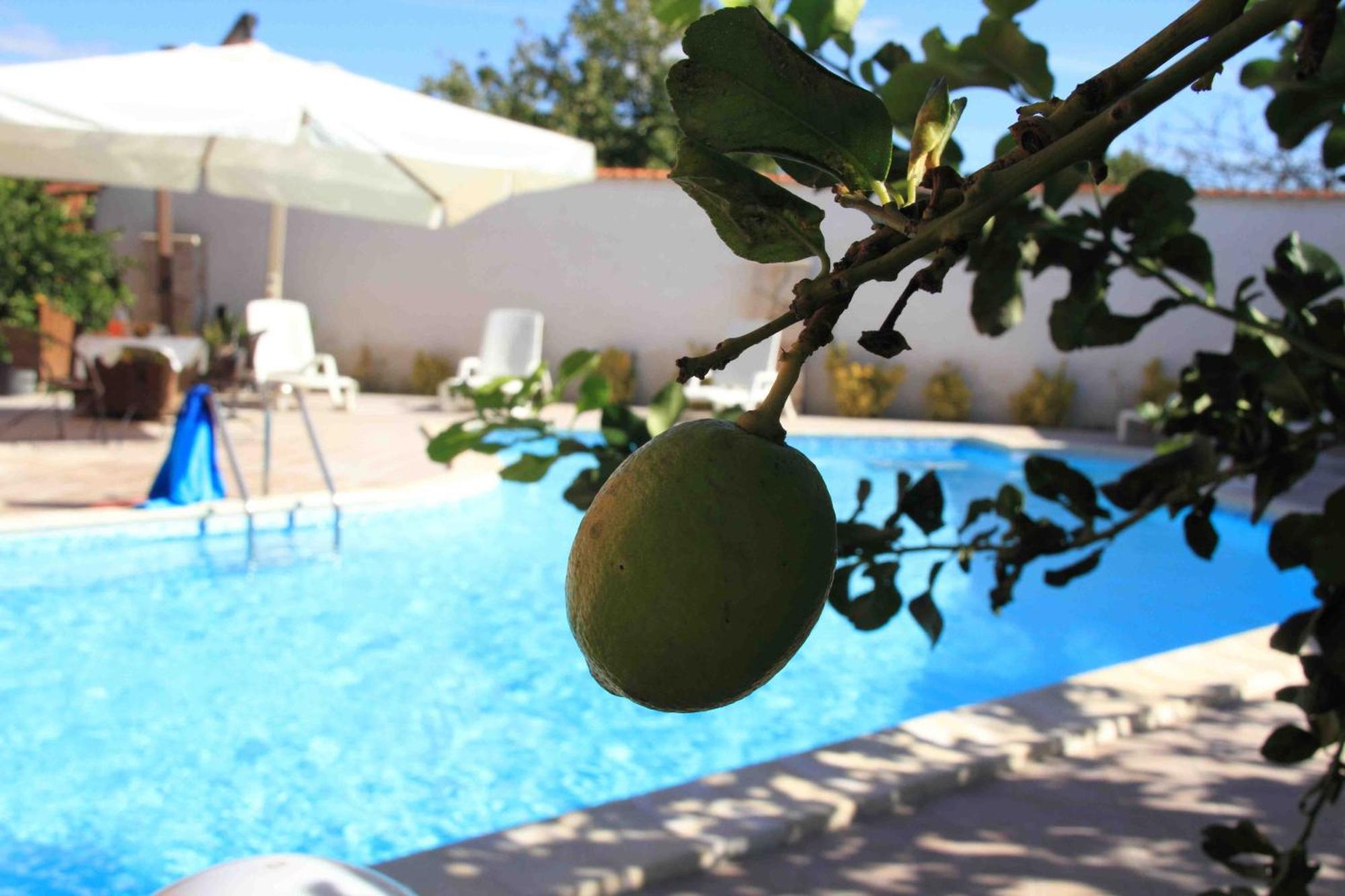 Il Quadrifoglio Bed & Breakfast Трапани Екстериор снимка